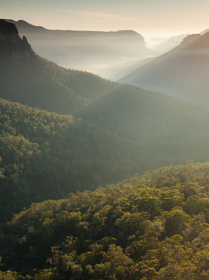 Towards Blue Gum Forest from Govetts Leap