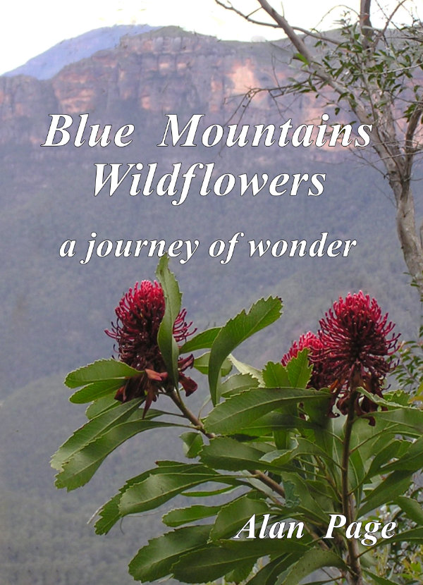 Blue Mountains Wildflowers cover