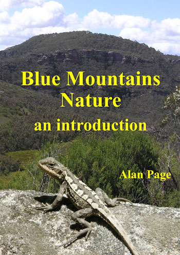 Blue Mountains Nature cover