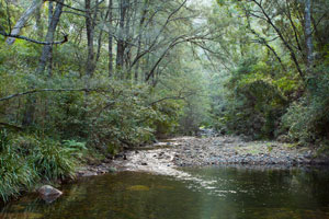 Christys Creek