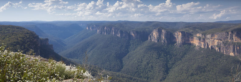 Looking up the Grose Valley from Anvil Rock