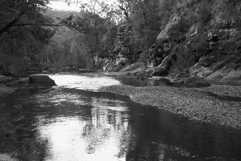 Colo River - Wollemi Wilderness